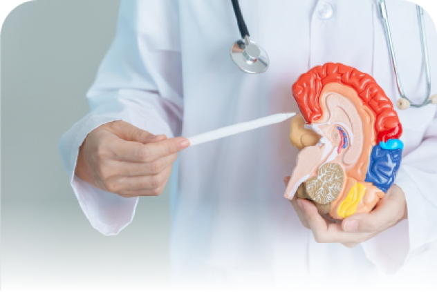 BỔ SUNG GÌ ĐỂ BẢO VỆ VÀ PHÁT TRIỂN NÃO BỘ CHO MỌI NGƯỜI