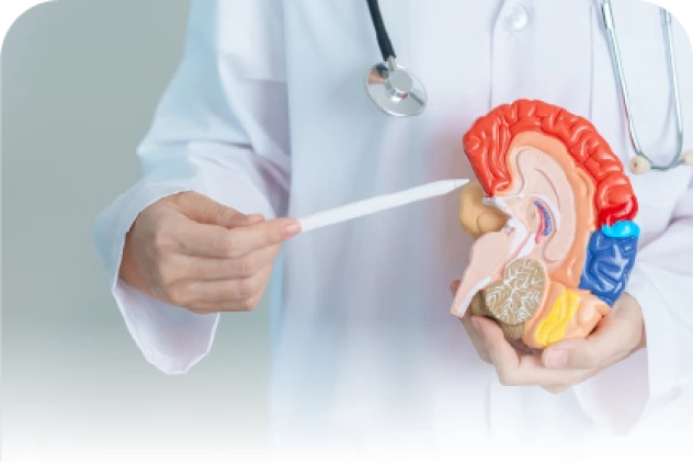 BỔ SUNG GÌ ĐỂ BẢO VỆ VÀ PHÁT TRIỂN NÃO BỘ CHO MỌI NGƯỜI