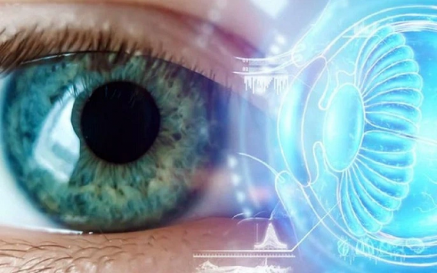 DẤU HIỆU CƠ THỂ THIẾU OMEGA 3